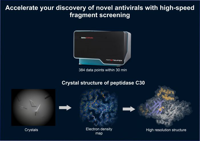 Accelerate Your Discovery of Novel Antivirals with High-Speed Fragment Screening 